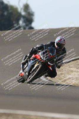 media/Nov-02-2025-Lets Ride (Sun) [[f7a3caa734]]/A Group/12pm (Turn 2 Outside)/